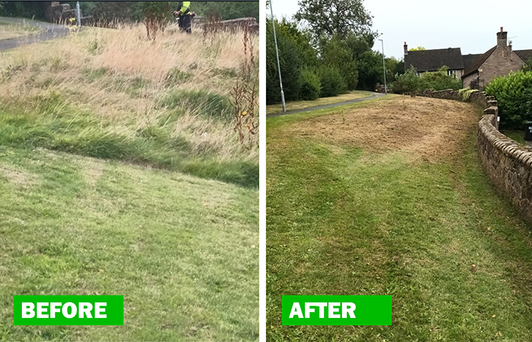 biodiversity sites before and after cutting web