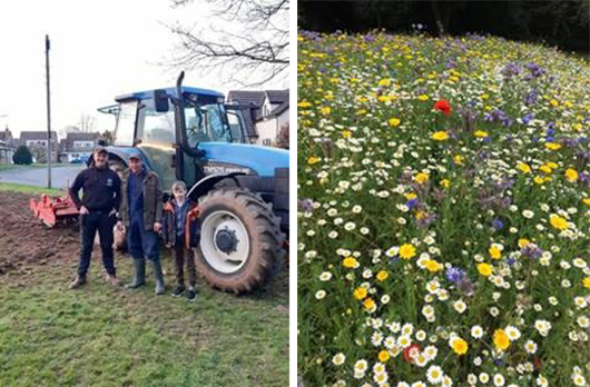 2 photos, one of a local farmer and tractor and rough ground, the other of the same site with wildflowers